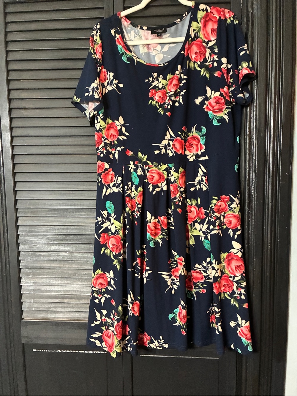 Floral Navy Fit & Flare Dress - Red Rose Print